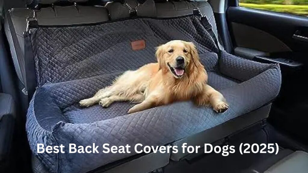 Best Back Seat Covers for Dogs (2025)