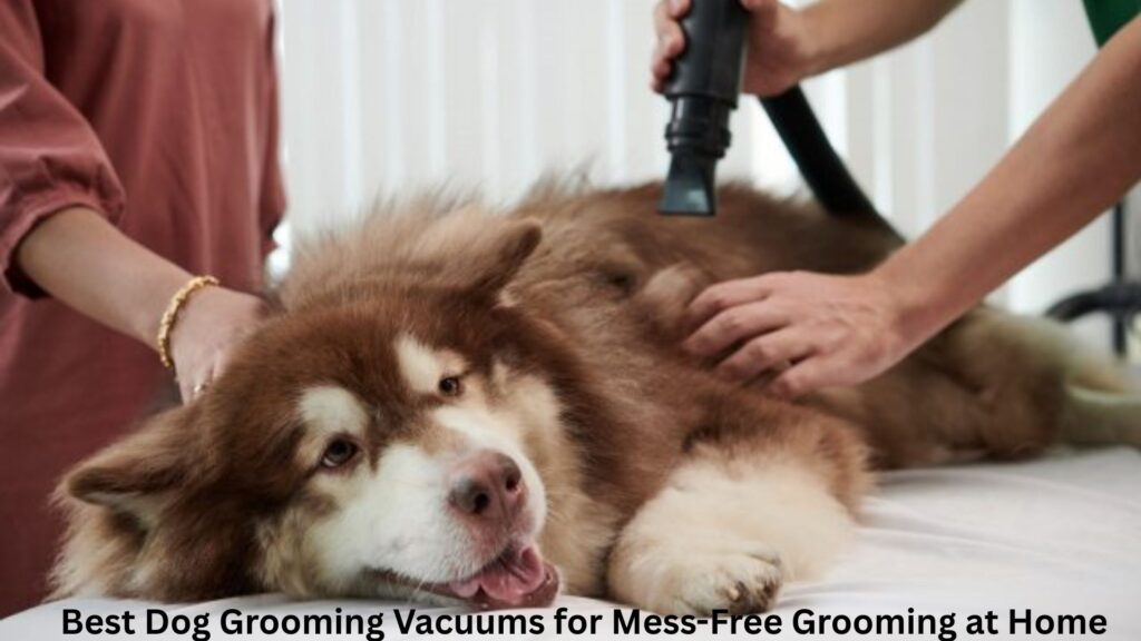Best Dog Grooming Vacuums for Mess-Free Grooming at Home